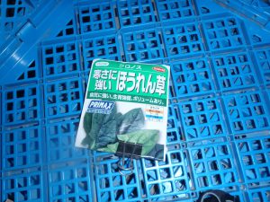 ほうれん草　220323